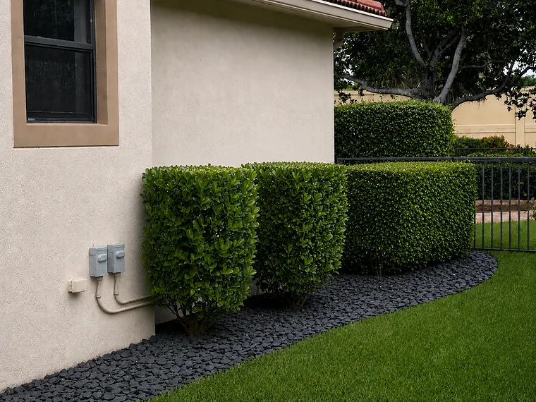 Clipped hedge row edged with black rock beside a lawn